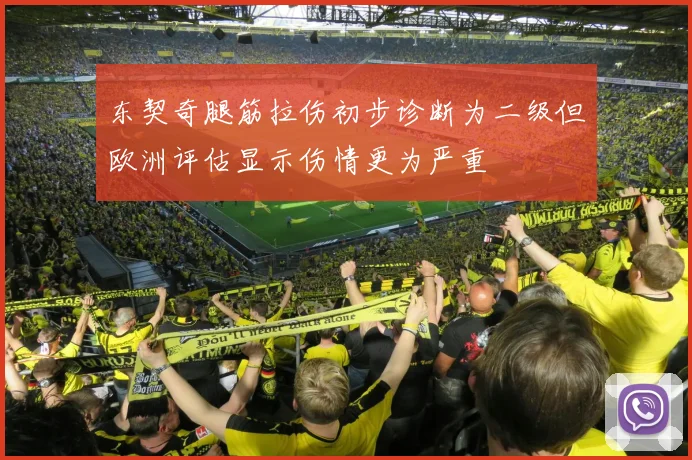 东契奇腿筋拉伤初步诊断为二级但欧洲评估显示伤情更为严重